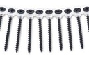 TORNILLOS PLANCHA PUNTA FINA 1 1/4'' EN TIRAS 50/1 AMERICANO